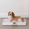 image:imageEatSmart Digital Baby and Pet Weight Scale 44 Pound Capacity
